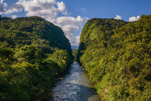 The Landscape Action Plan