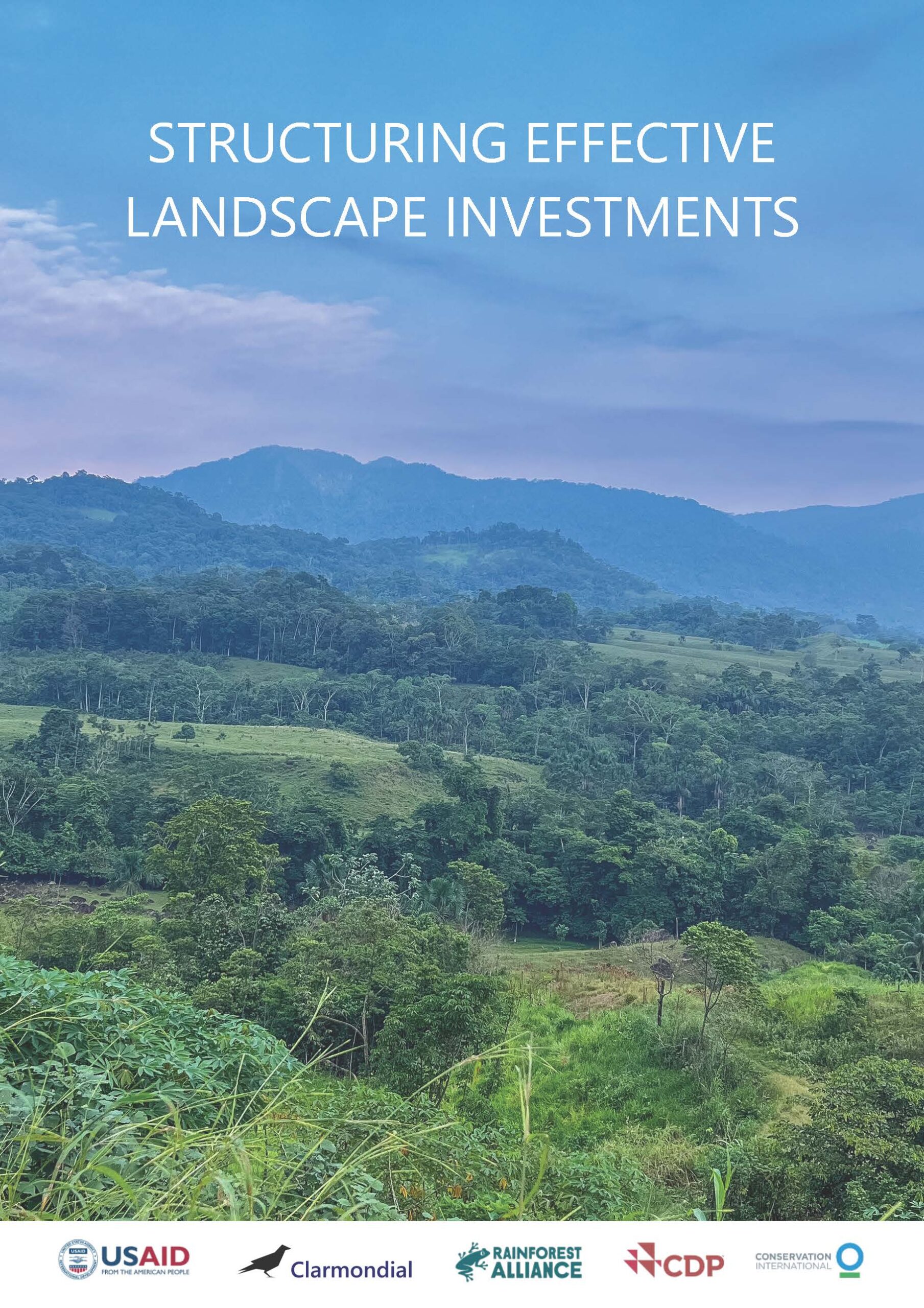 STRUCTURING EFFECTIVE LANDSCAPE INVESTMENTS